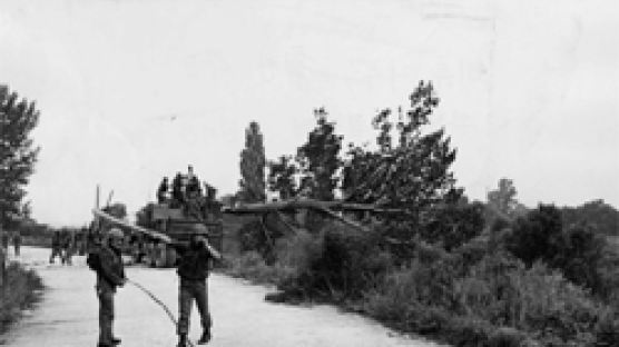 미루나무 제거 작전…1976년 北 '도끼만행사건' 후 펼친 작전
