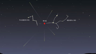 페르세우스 별자리 별똥별 쏟아진다…불빛없는 곳이 좋아