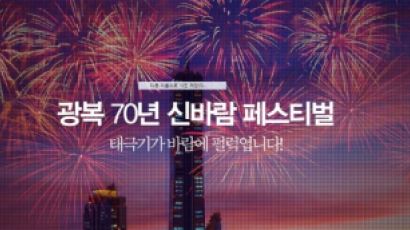 광복 70주년 수성못 불꽃축제, 라인업 '초대박'