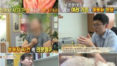 동물농장 '말티즈 생매장 사건', 사건 전말 밝혀져 … 버린 이유 '충격'
