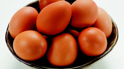 삶은 계란 흰자 칼로리, 노른자 칼로리와 비교해보니…"엄청 낮네"