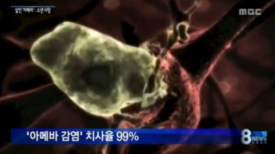 미국 운동 유망주, 뇌먹는 아메바에 감염 되 결국 사망 '공포'