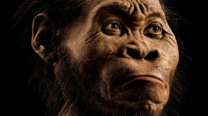 고대 인류 호모 나레디, 무려 280만년 전에 살았을 것 '어떻게 생겼길래?'