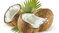 코코넛의 다양한 변신