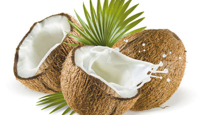 코코넛의 다양한 변신