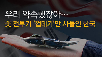 [디지털 오피니언] 우리 약속했잖아… 美 전투기 '껍데기'만 사들인 한국