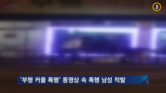 [사건] '부평 커플 폭행' 동영상 속 폭행 남성 적발