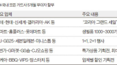 내일부터 ‘코리아 블랙프라이데이’…2만6000여 점포서 최대 70% 세일