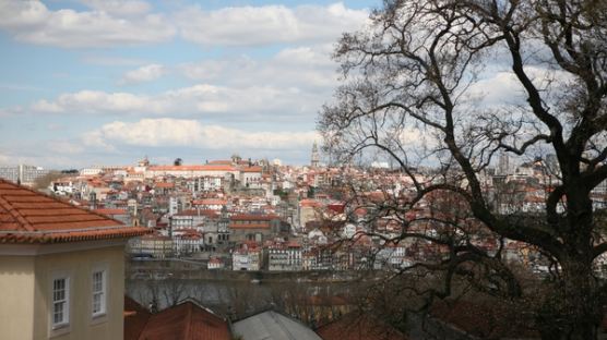 포르투갈 총선, 출구 조사 결과, 어떻게 나왔을까?