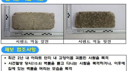 '용인 캣맘 사건' 벽돌 DNA 채취해 대조할 계획