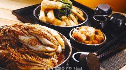 아삭아삭 맛있는 김치 칼로리, 종류별로 보니…다이어트에도 효과 '직빵?!'