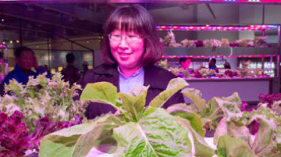 유리 온실, LED 재배법 … 미래 농업 기술 한자리에 