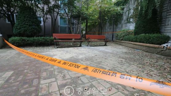 '캣맘' 벽돌 떨어뜨린 초등생 "뉴스 보고 사망 사실 알았다" 