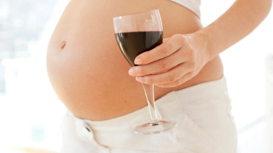 [국제 사회] "임신 중 술 한 모금도 안된다" 이유가…