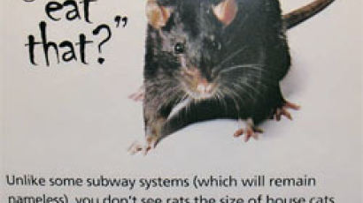 뉴욕 쥐 경보! … 햄버거 들고 지하철 타지 마세요