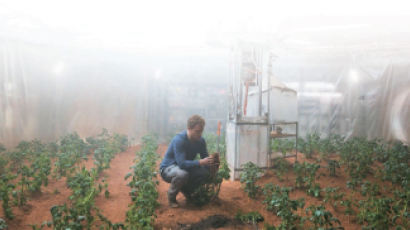 [세계 속으로] 화성엔 식물에 필요한 질소 많아 우주 감자·고구마 키울 수 있다