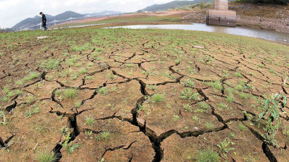 논밭 갈아엎고 발전소는 간당간당 … 이 가뭄 봄까지 간다