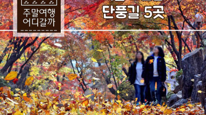 [카드뉴스] 서울 소문난 단풍길 5곳, 가을의 마지막을 느껴요