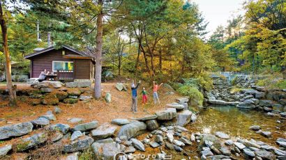 [커버스토리] 편백숲서 산림욕, 솔숲서 데이트 ‘힐링이 절로’