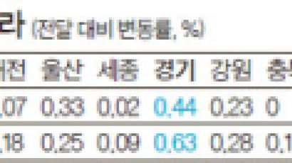 10월 집값, 서울 0.46% 올라 … 지방 0.24%