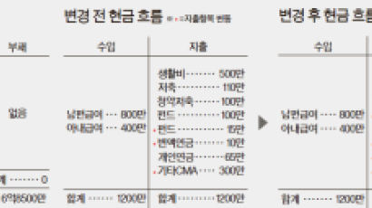 [반퇴시대 재산리모델링] 집값 2017년께 안정 예상 … 그 때 분양 노려라