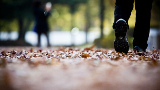 [김경록 기자의 '작은 사진전'] 이 가을, 낙엽을 밟으며