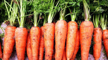 [우리농식품사랑캠페인] "건강에 좋다"는 말 미안할 정도, 당근의 효능