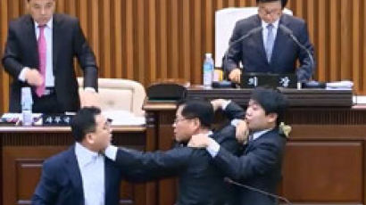 회의장 안 몸싸움, 밖에선 1인 시위 … 대전 서구의회 시끌