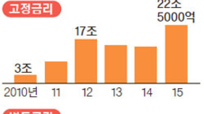 ‘금리 혼합형’ 주택담보대출, 내년 뒤가 겁난다