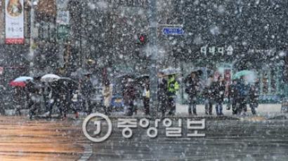 [날씨] 설국이 된 서울