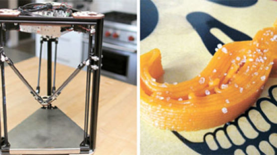 “비타민 듬뿍 든 야채죽, 3D 프린터로 만들죠”