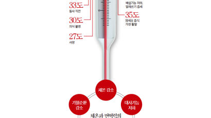 [건강한 당신] 체온 1도 낮아지면 면역력 30% 떨어져