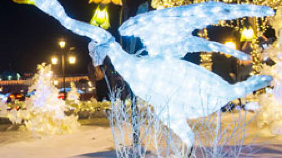 1000만 개 LED쇼, 별빛 동물원 … 겨울밤 수놓는 빛 축제
