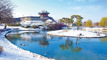 '조선 성곽의 꽃'에 반하고, 호수공원 눈부신 야경에 넋잃고