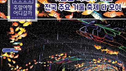 [카드뉴스] 겨울은 축제의 계절, 전국 주요 겨울 축제 다 모여
