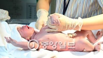 [사회] 2016년 새해 빛 본 첫둥이들은?
