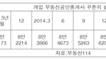 집값 상승세에 개업공인중개사 9만명 넘어서