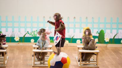 원숭이들이 펼치는 단체 공연…부안 원숭이학교