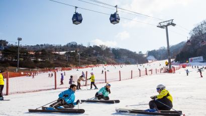 비발디파크, 초보 스키어대상 안전 캠페인