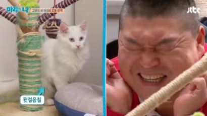 강호동 서인국, '마리와 나' 도도한 고양이에 "우울증 걸릴것 같다"