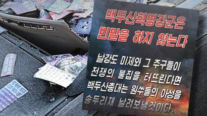 [카드뉴스] '소리없는 종이 폭탄' 북한 삐라의 습격!