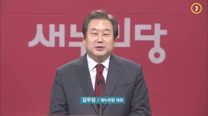 김무성 신년회견, "야당 후보는 '꽃꽂이 후보', 여당 후보는 '풀뿌리 후보'" 