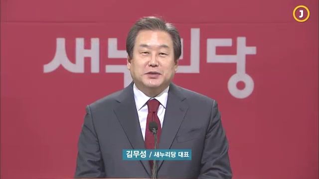 김무성 신년회견, "야당 후보는 '꽃꽂이 후보', 여당 후보는 '풀뿌리 후보'" 
