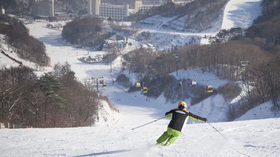 휘닉스파크 올림픽코스에서 겨루는 스키 기술대회