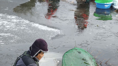 [사진] 한파 속 얼음 깨고…뜨거운 민물새우 잡이
