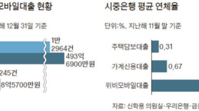 중금리 대출 7개월, 연체율 복병 만났다