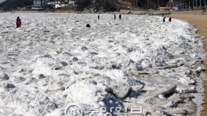 한국 한파 주범은 폴라 보텍스? 제트기류 약해지면서 남하