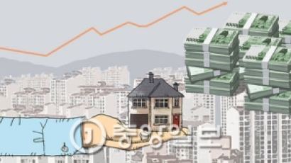 은행이 우리집 2대 주주?…주택대출 증가폭 역대 최대