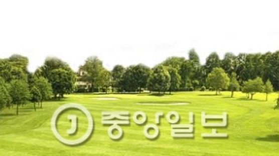 올림픽 골프장 개량형 한국 잔디 사용