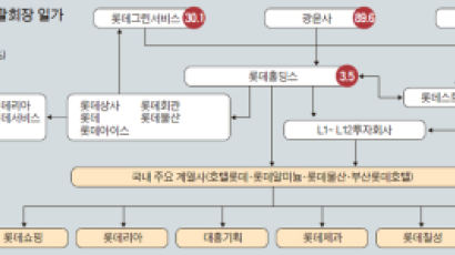 일본 롯데 3개 계열사가 한국 롯데 지배의 정점
